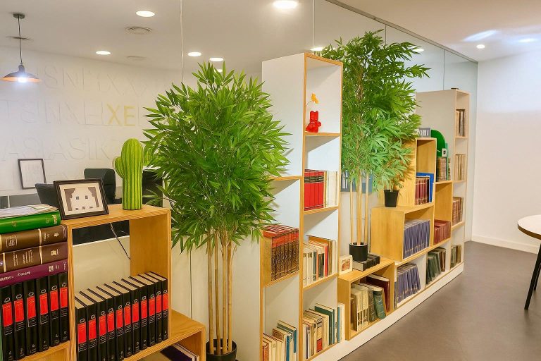 libros-en-la-biblioteca